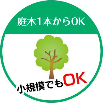 彦根 長浜 庭木の伐採屋さん キムテックスは庭木1本からOK 小規模でもOK!!